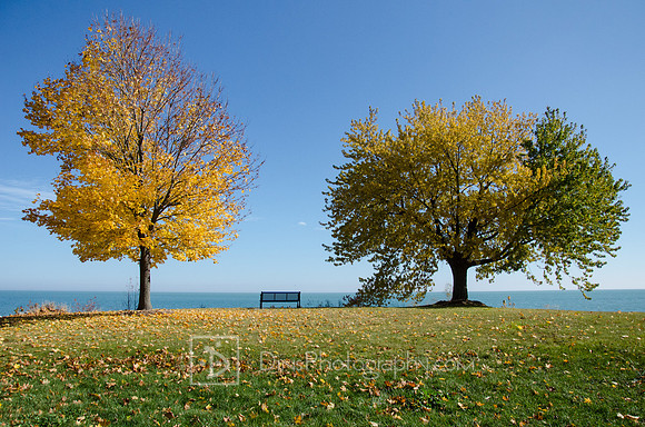 Near Kohler, WI