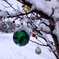 Balls!!