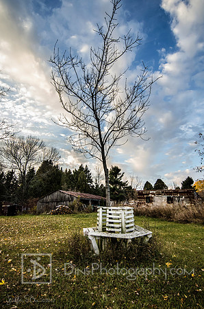 Intrigue in rural Algoma, WI