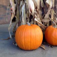Harvest