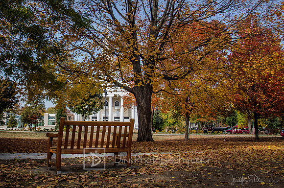 Fall Color ~ Appleton, WI