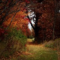 High Cliff State Park - bathed in color!