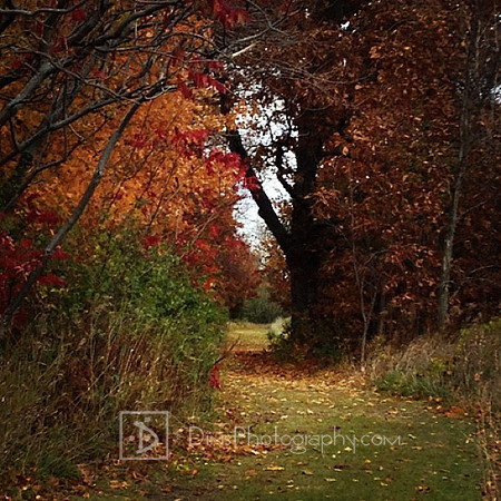 High Cliff State Park - bathed in color!