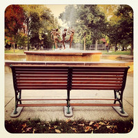 City Park.  Bench.
