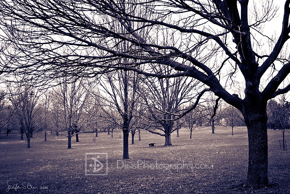 UW Madison Arboretum