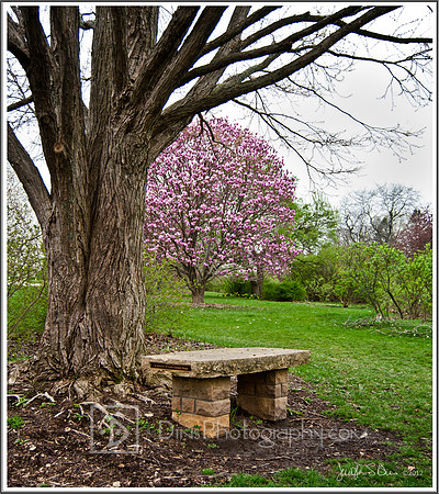 UW Madison ~ Arboretum