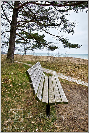 Kohler~Andrae State Park
