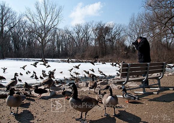 Green Bay Wildlife Sanctuary