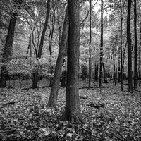 High Cliff State Park