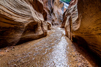 Utah