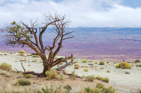 UTAH