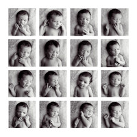 Mug Shots-Newborn