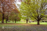 UW Madison Arboretum