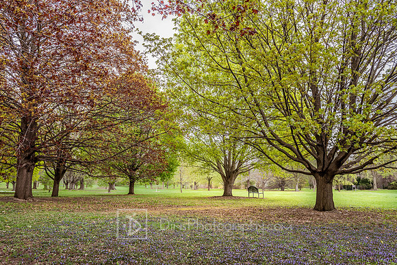 UW Madison Arboretum