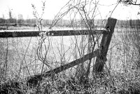 Brillion MArsh