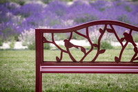 Benches Project