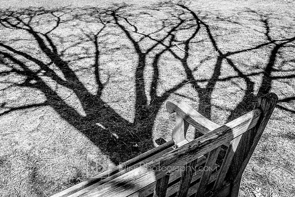 UW Madison Arboretum