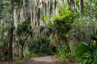 Wormsloe Historic Site
