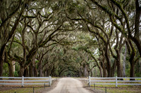Wormsloe Historic Site