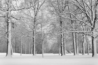 Telulah Park, Appleton WI