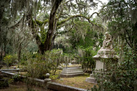 Bonaventure Cemetery ~ Savannah, GA